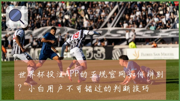 世界杯投注APP的正规官网如何辨别？小白用户不可错过的判断技巧