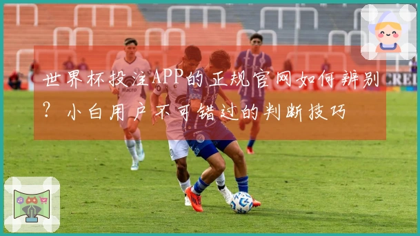 世界杯投注APP的正规官网如何辨别？小白用户不可错过的判断技巧