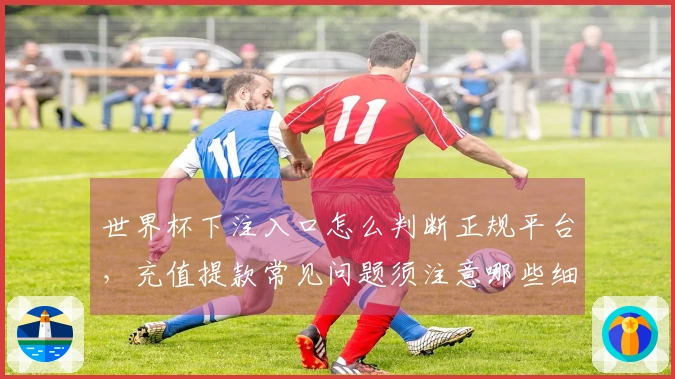 世界杯下注入口怎么判断正规平台，充值提款常见问题须注意哪些细节