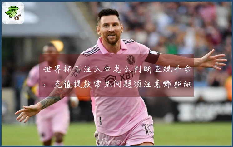 世界杯下注入口怎么判断正规平台，充值提款常见问题须注意哪些细节